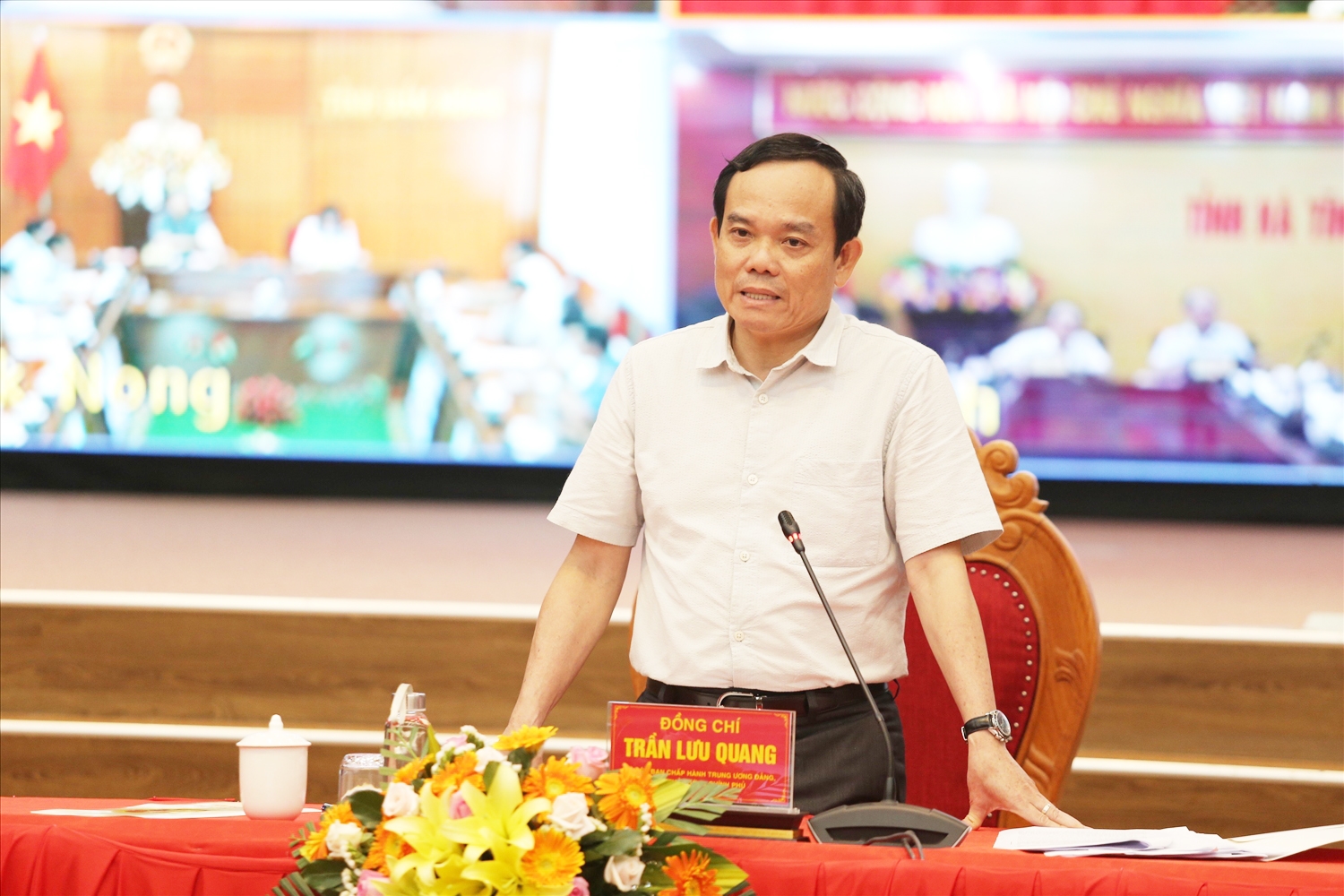 Phó Thủ tướng Chính phủ Trần Lưu Quang phát biểu kết luận tại Hội nghị
