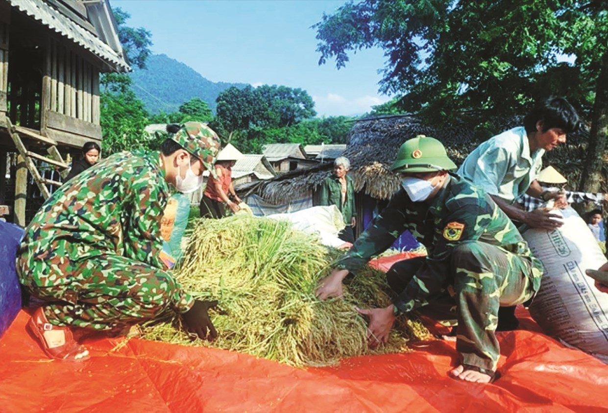 Màu áo xanh của chiến sĩ Biên phòng đã hòa cùng đồng bào đẹp tình quân dân trong mùa gặt.