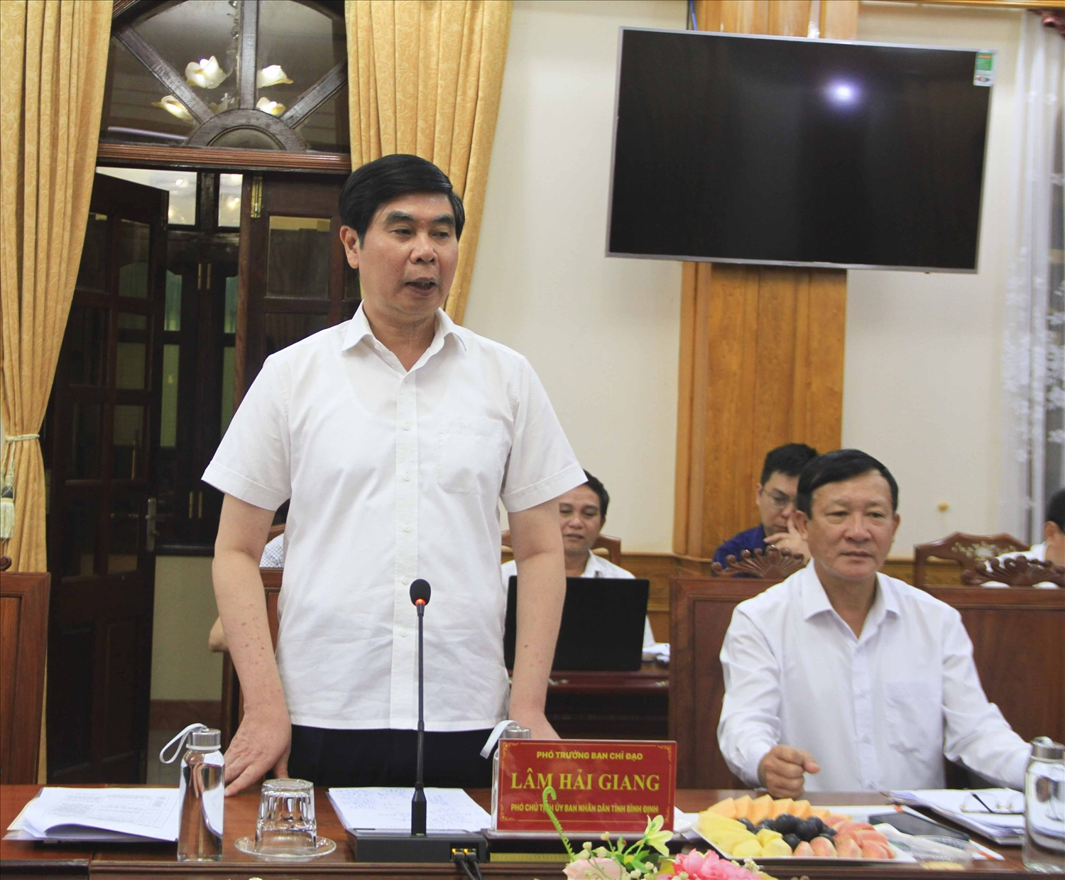 Ông Lâm Hải Giang, Phó Chủ tịch UBND tỉnh Bình Định phát biểu tại cuộc họp