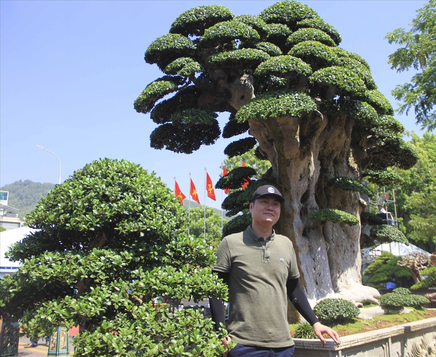 Nhiều cây cảnh và bonsai đẹp, có giá trị trưng bày tại Triển lãm