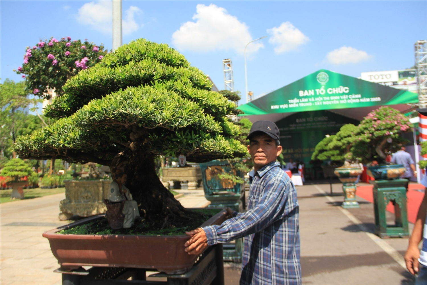 Nhiều cây cảnh và bonsai đẹp, có giá trị trưng bày tại Triển lãm