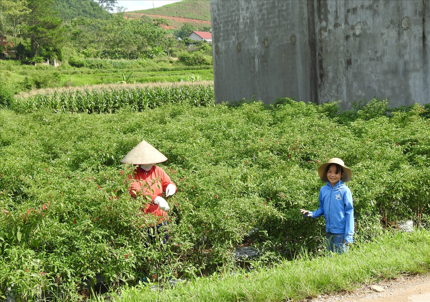 Tại huyện Chi Lăng có nhiều đảng viên, nhiều cá nhân, doanh nghiệp đã trực tiếp hỗ trợ cây trồng, vật nuôi, giúp đỡ bằng tiền, sức lao động để giúp các hộ nghèo, hộ khó khăn, thôn khó khăn có thêm nguồn lực phát triển sản xuất, xây dựng cầu đường, nhà ở ổn định cuộc sống
