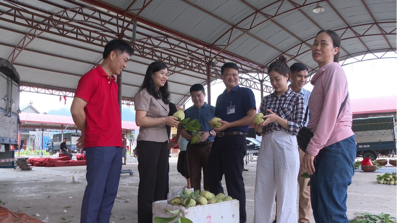 Đồng chí Trần Thanh Nhàn (thứ 2 từ trái sang), Bí thư Huyện ủy Chi Lăng kiểm tra việc tiêu thu na trên địa bàn.