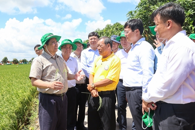 (TIN TS DẪN - ĐÃ BT) Thủ tướng thăm một số cơ sở sản xuất, chế biến lúa gạo hiện đại, công nghệ cao 5
