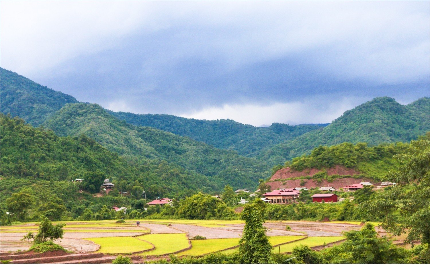 Diện tích rừng của cộng đồng các bản ở xã Pa Tần, huyện Nậm Pồ được bảo vệ nguyên vẹn