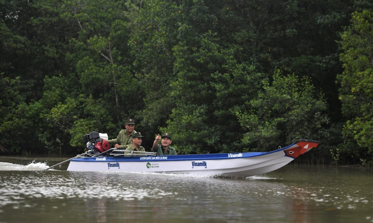 Các chiếc thuyền được Vinamilk tài trợ cho Vườn Quốc gia làm phương tiện hỗ trợ công tác kiểm tra, giám sát, bảo vệ cho khu vực khoanh nuôi rừng