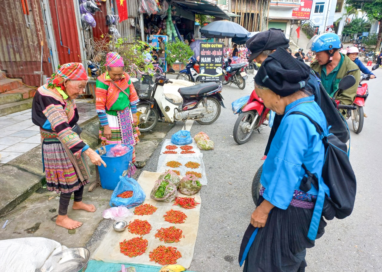 Một bà cụ người Mông giới thiệu sản phẩm ớt cho khách