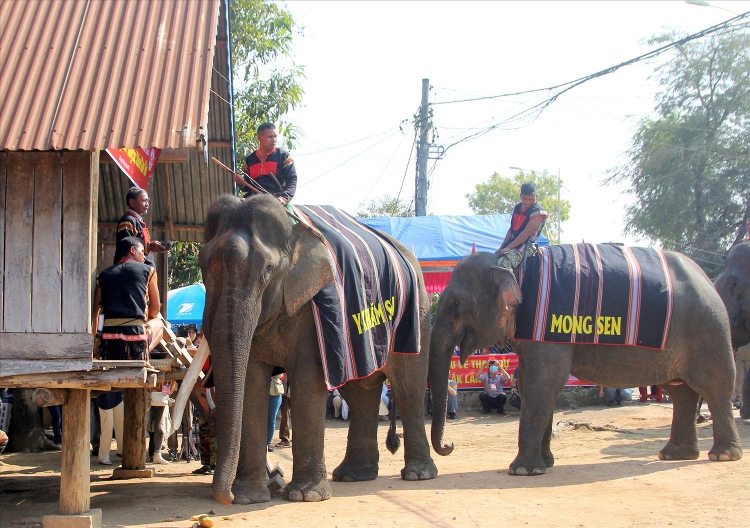 Người M'nông ở huyện Lắk (Đắk Lắk) tổ chức lễ cúng sức khỏe cho voi. Ảnh: TL