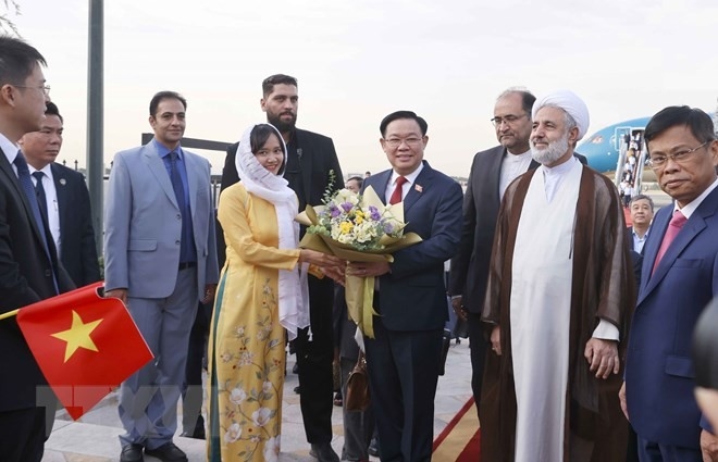 Cộng đồng người Việt tại Iran đón Chủ tịch Quốc hội Vương Đình Huệ tại Sân bay Mehrabad, thủ đô Tehran. (Ảnh: Doãn Tấn/TTXVN)