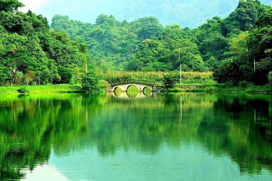 Cúc Phương – Vườn Quốc gia đầu tiên của Việt Nam – là một trong những viên ngọc quý về sinh thái rừng. Nguồn: Facebook Vườn Quốc gia Cúc Phương