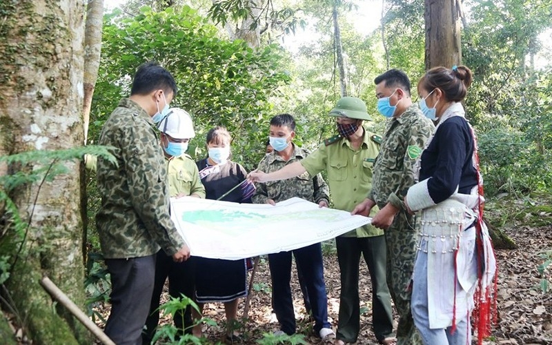 Cộng đồng tham gia bảo vệ rừng thuộc KBTTN Bát Xát, tỉnh Lào Cai. (Ảnh: TL)