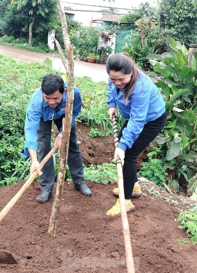Huyện Đoàn Krông Búk thực hiện công trình thanh niên trồng cây giáng hương trên tuyến đường