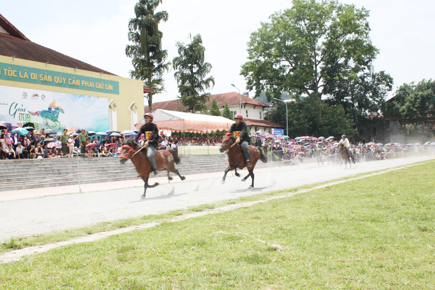 Giải đua ngựa truyền thống trên cao nguyên Bắc Hà (Lào Cai). Ảnh tư liệu: Quốc Khánh/TTXVN