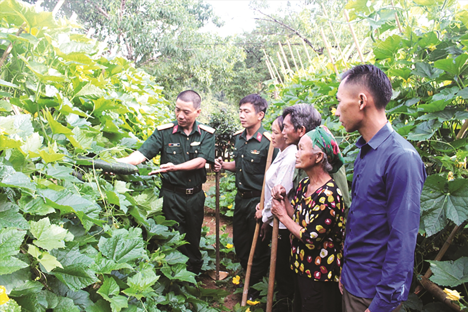 Cán bộ, nhân viên Đoàn Kinh tế - Quốc phòng 4 hướng dẫn Nhân dân xã Na Ngoi, huyện Kỳ Sơn trồng bí cao sản.