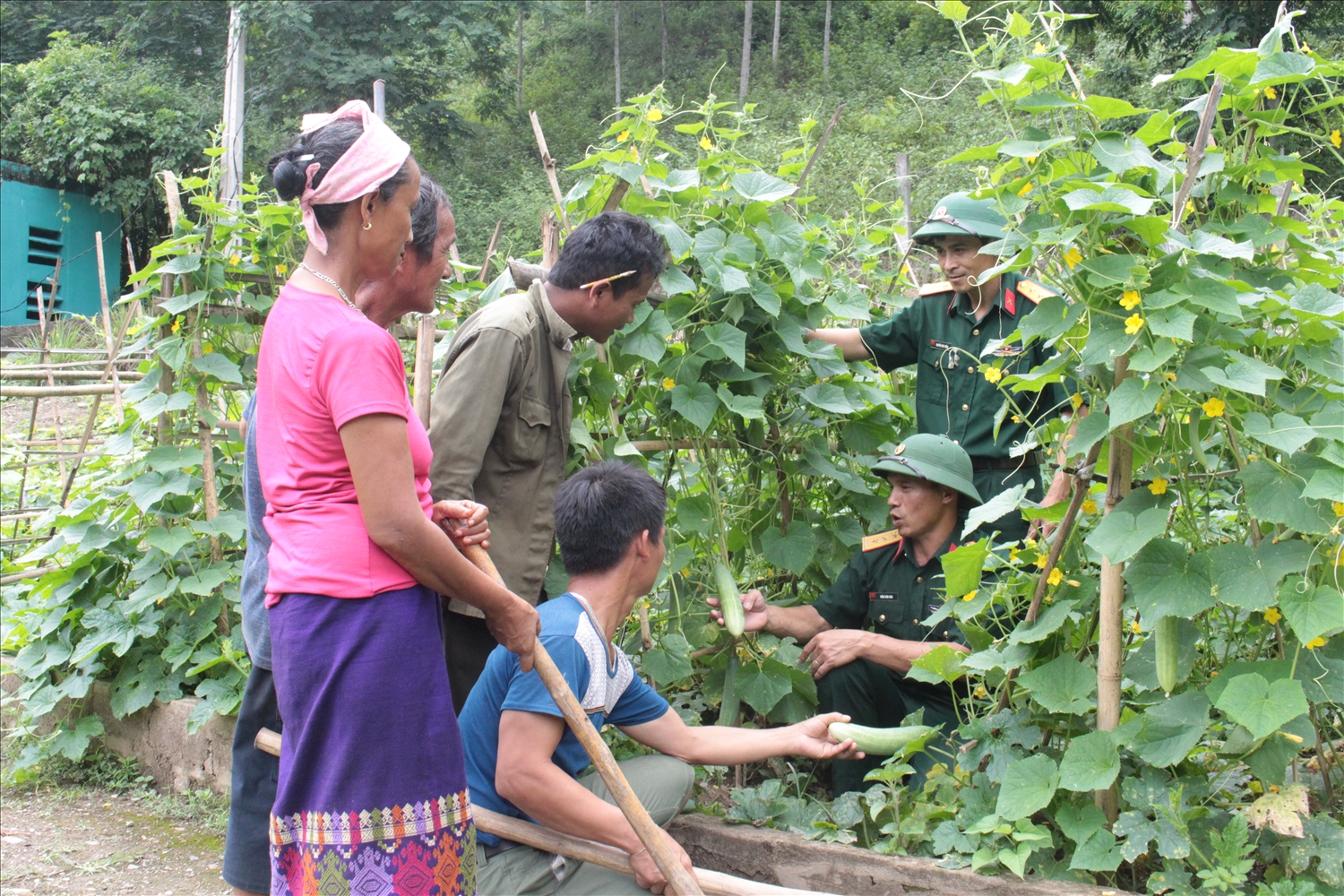 Cán bộ, nhân viên Đội sản xuất 3, Đoàn Kinh tế- Quốc phòng 4 hướng dẫn Nhân dân xã Nậm Càn, huyện Kỳ Sơn trồng dưa chuột.