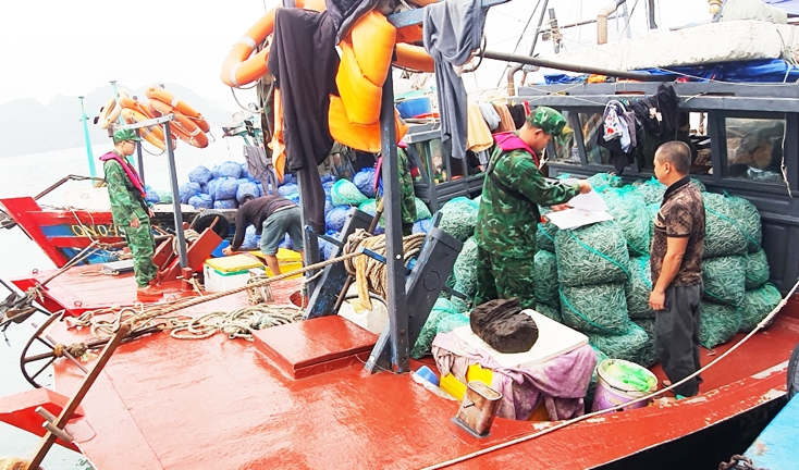 Đội Tuần tra kiểm soát Hải đội 2, Bộ đội Biên phòng tỉnh Quảng Ninh bắt giữ phương tiện khai thác thủy sản trái phép 