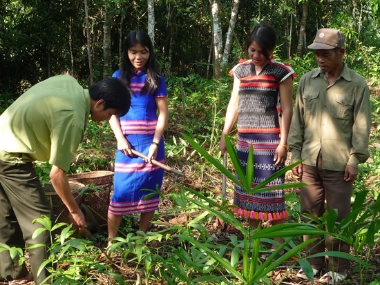 Ngoài lợi ích bảo vệ, phát triển rừng bền vững, mang lại thu nhập cho bà con thì mô hình đồng quản lý rừng ở VQG Bạch Mã còn góp phần duy trì, phát triển nền văn hóa truyền thống và kiến thức bản địa lâu đời của đồng bào Cơ Tu. (Ảnh: TL)