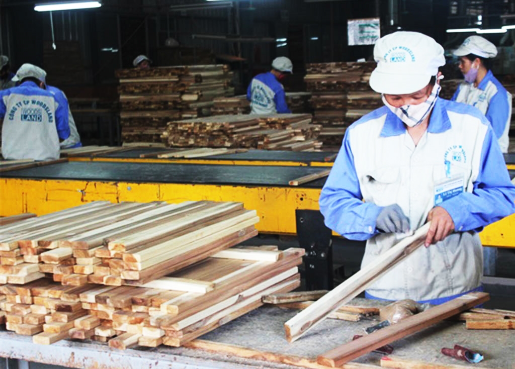 Các doanh nghiệp gỗ gặp khó khăn đã làm gia tăng số lượng lao động thất nghiệp tại Bình Định