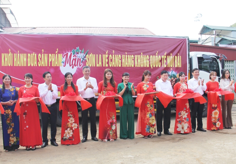 UBND tỉnh Sơn La tổ chức khởi hành đưa sản phẩm"Mận Sơn La" về Cảnh hàng không Quốc tế Nội Bài