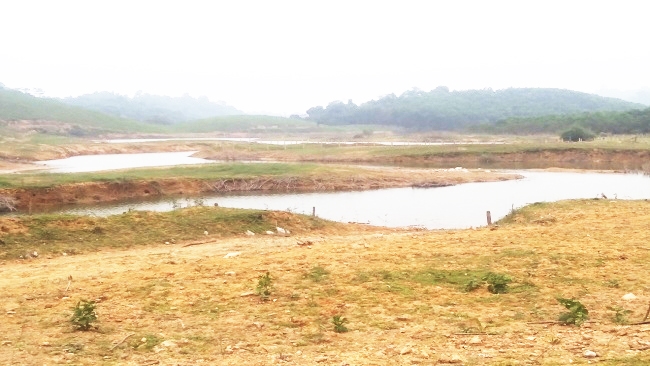 Khu vực đất của người dân xã Bình Lương bị ngập nước hồ sông Mực nên không thể sản xuất được