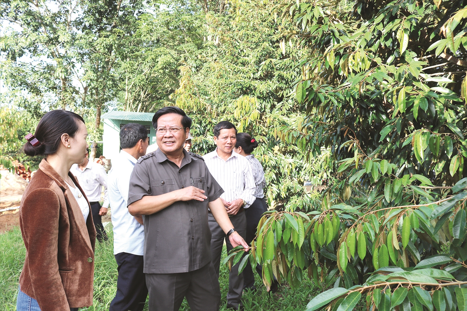 Ông Lê Ngọc Tuấn Phó Bí thư Tỉnh ủy, Chủ tịch UBND tỉnh Kon Tum thăm, động viên các hộ sản xuất giỏi tại huyện Sa Thầy