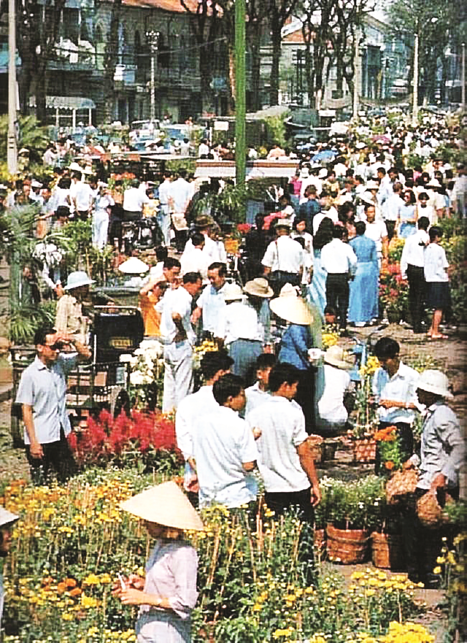 Một góc chợ hoa Tết xưa
