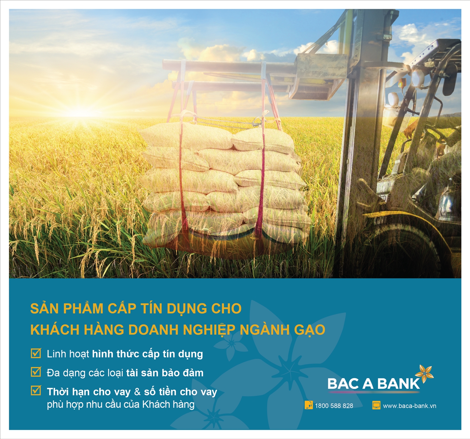 (CĐ BÙI HẠ) BAC A BANK tham gia Festival quốc tế ngành hàng lúa gạo Việt Nam - Hậu Giang năm 2023 2