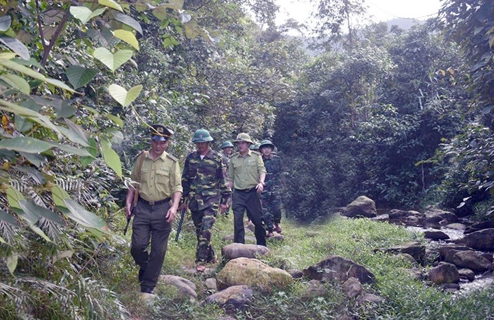 Lực lượng chức năng tuần tra, bảo vệ rừng. 