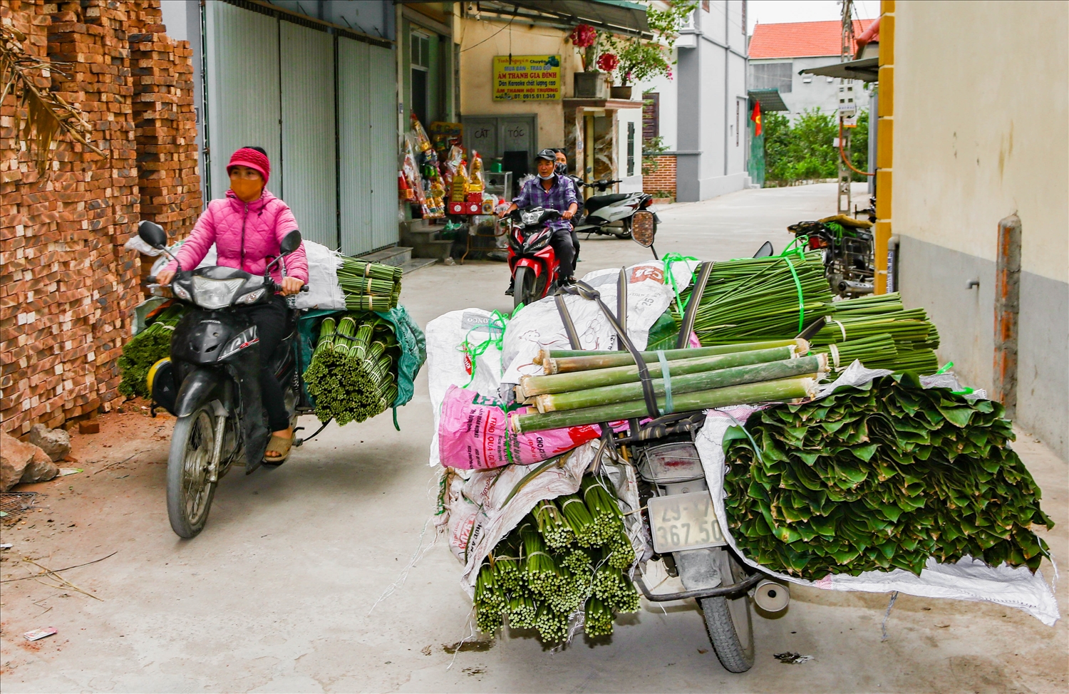 Làng nghề trồng lá dong hàng trăm năm tuổi ở Hà Nội vào vụ Tết Nguyên đán Giáp Thìn 3