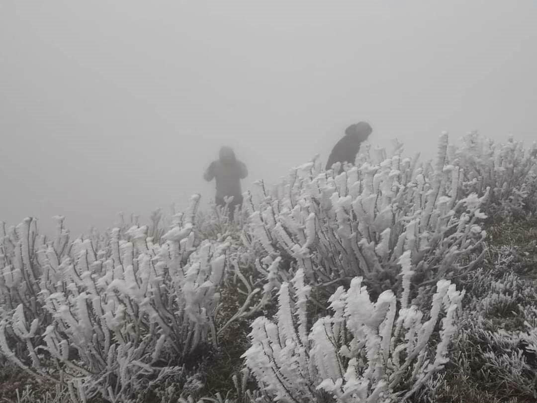 Tin: Nhiều du khách Hà Nội đổ xô đi 'săn' băng tuyết trên đỉnh núi Mẫu Sơn 2