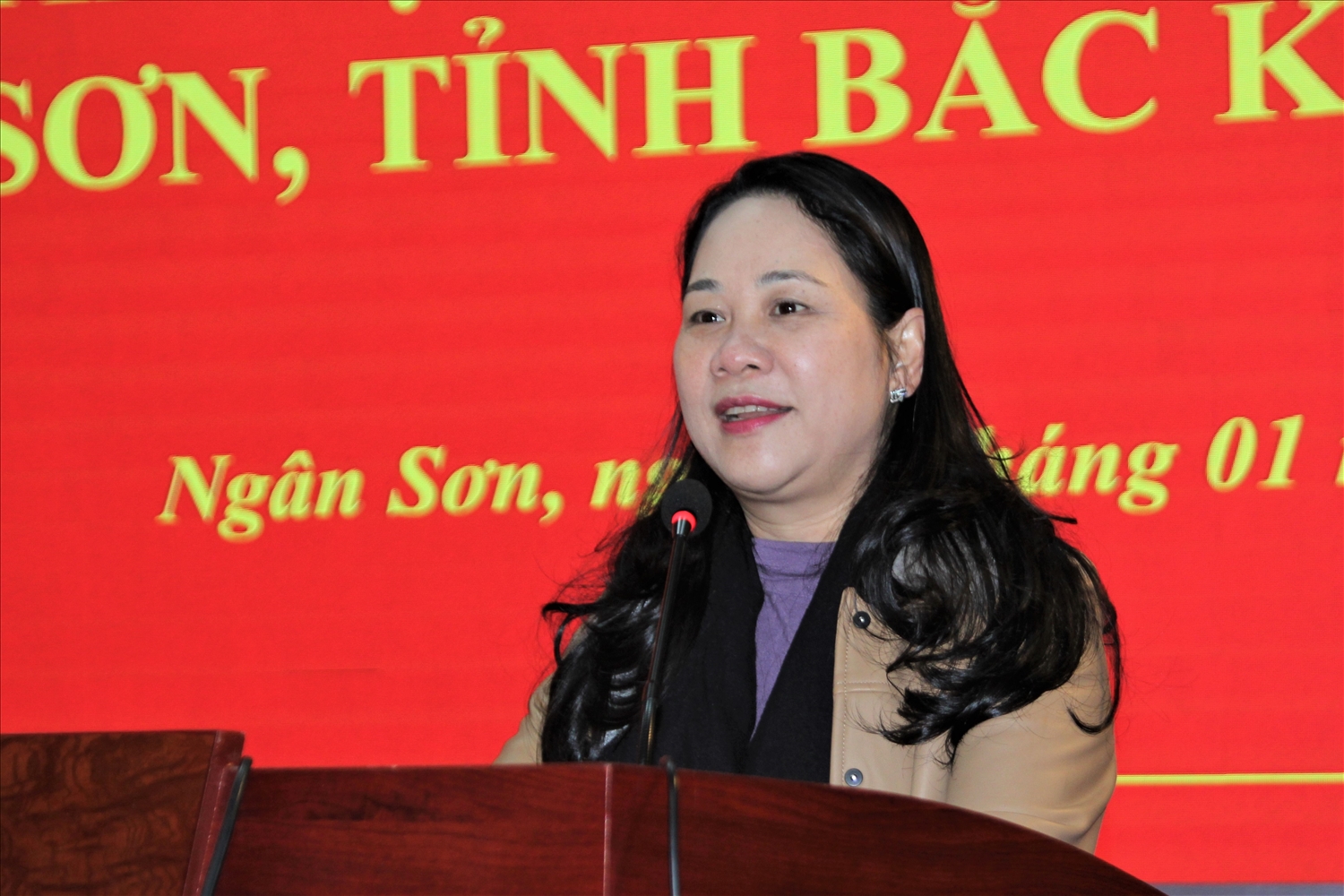 Thứ trưởng, Phó Chủ nhiệm Nông Thị Hà phát biểu tại điểm trao tặng quà huyện Ngân Sơn