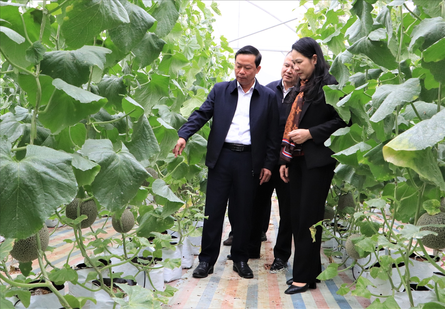 Thứ trưởng, Phó Chủ nhiệm Nông Thị Hà đã trao đổi với lãnh đạo huyện Tân Uyên nhiều giải pháp để tiếp tục phát triển kinh tế địa phương và nâng cao đời sống cho bà con