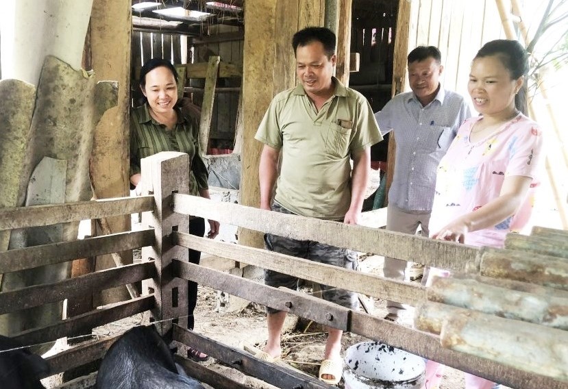 Nhiều hộ nghèo trên địa bàn huyện Bảo Lạc được tiếp cận nguồn vốn, phát triển chăn nuôi. 
