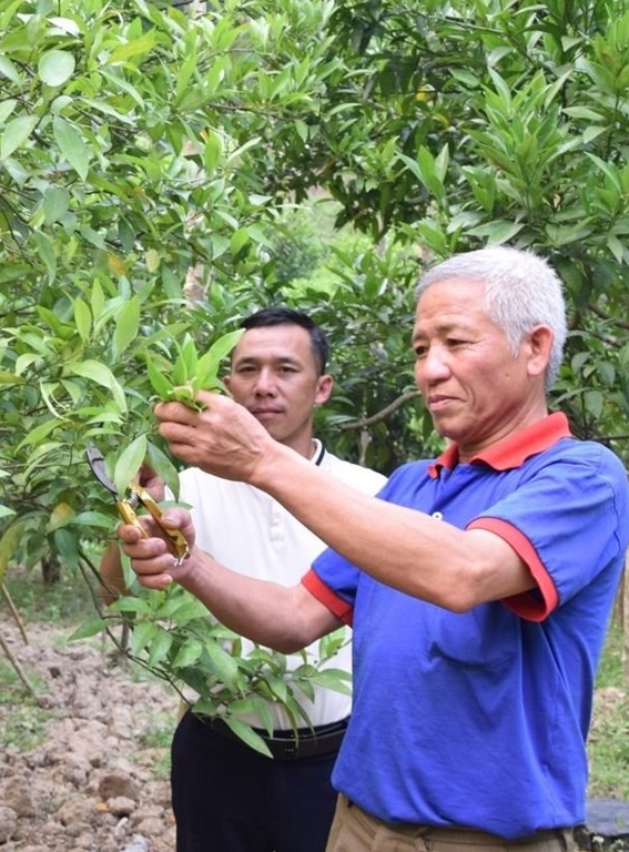Nhân dân bản Nà Khoang, xã Mường Và trao đổi kỹ thuật chăm sóc cây ăn quả có múi.