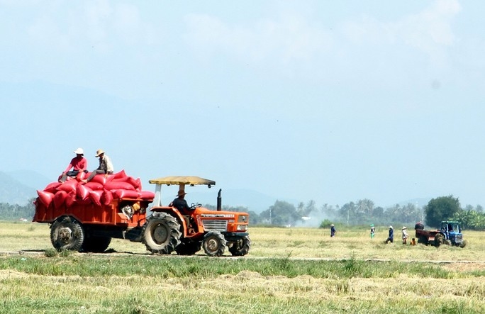 Đời sống kinh tế - xã hội vùng đồng bào DTTS tỉnh Ninh Thuận có nhiều chuyển biến tích cực, trong đó có đóng góp không nhỏ của đội ngũ Người có uy tín. 