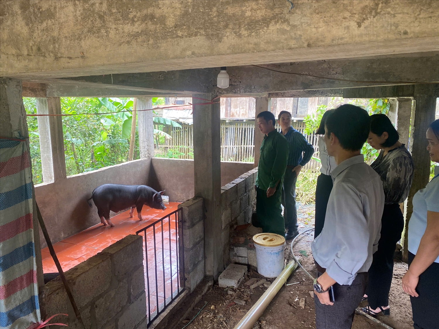 Đoàn kiểm tra thăm mô hình hộ gia đình được hỗ trợ phát triển sản xuất tại thôn Nà Thí, xã Vạn Thủy