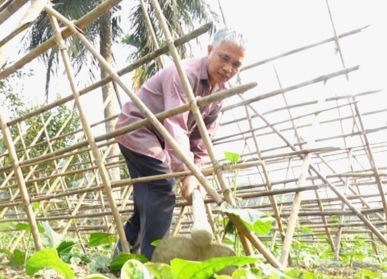 Trưởng bản Tân Sơn xã Môn Sơn Hà Văn Cảnh đi đầu trong phát triển kinh tế gia đình đồng thời vận động nhân dân thực hiện các mô hình kinh tế để xóa đói giảm nghèo