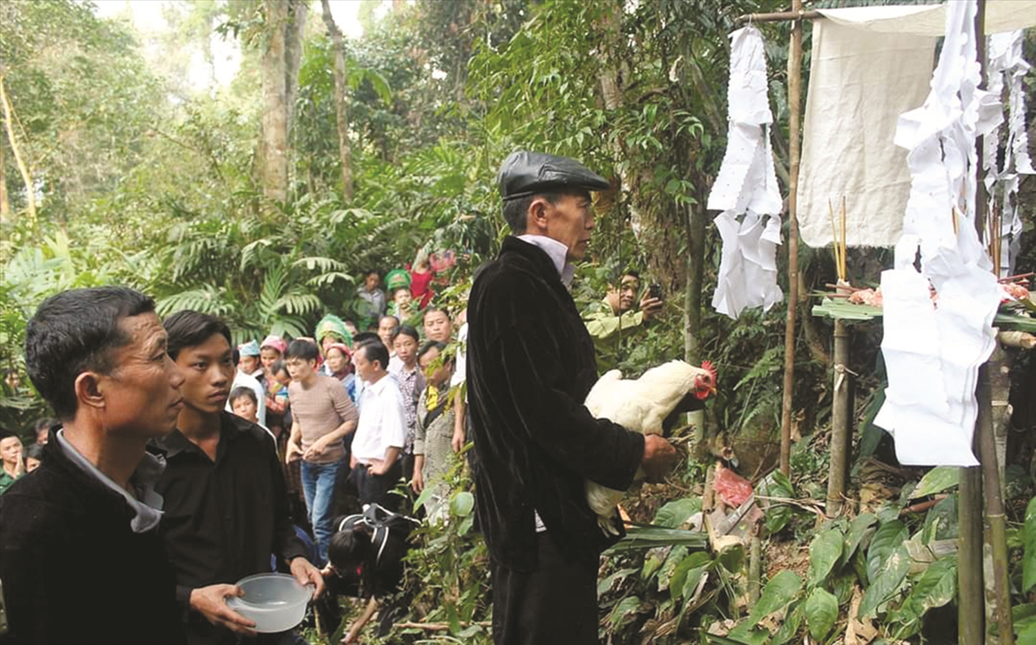 Thầy cúng thực hiện nghi lễ cúng rừng dưới gốc cây táu mật cổ thụ tại xã Nà Hẩu, huyện Văn Yên, tỉnh Yên Bái. Ảnh Mỹ Vân