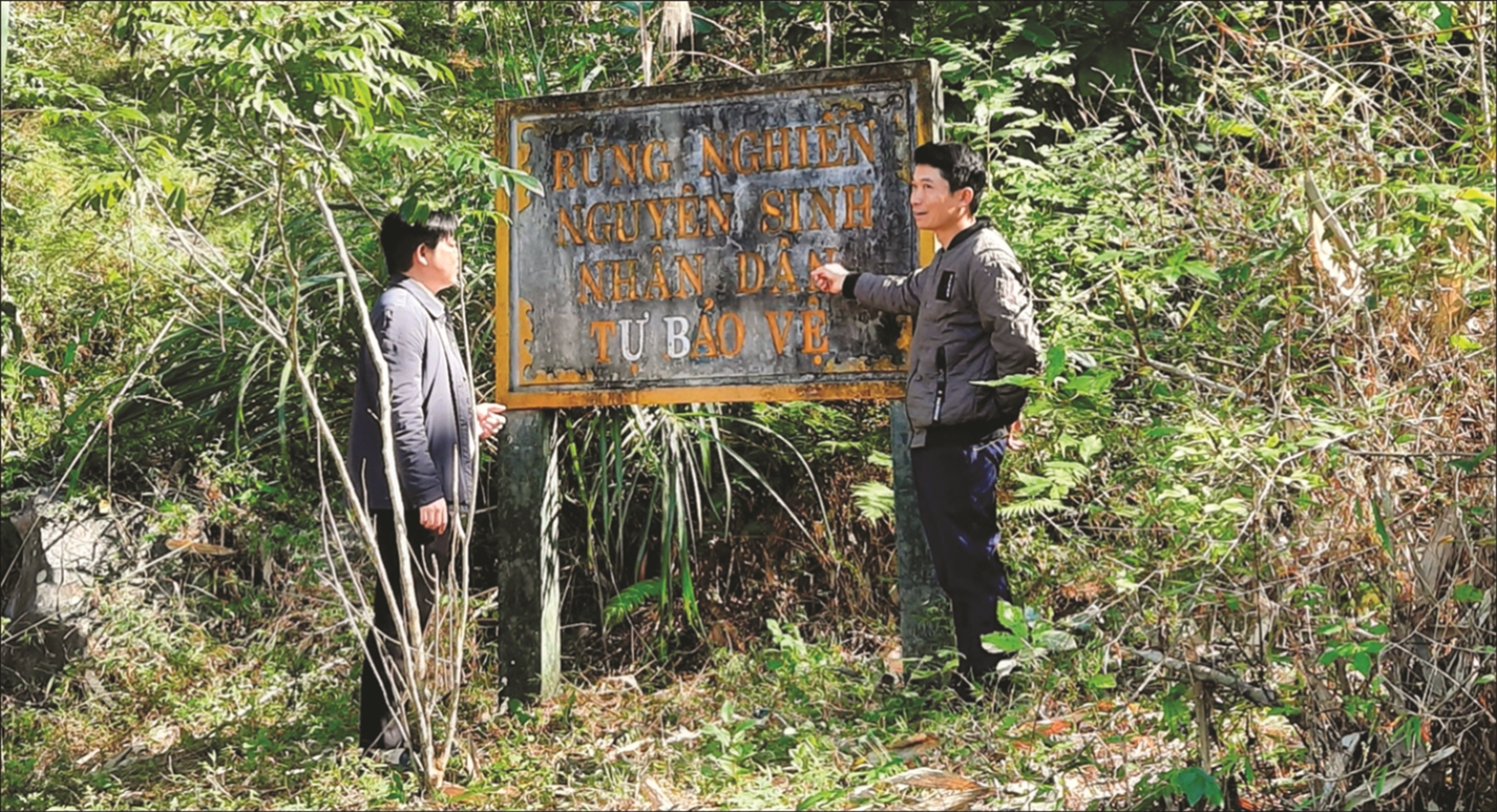 4. Cùng với hương ước, quy ước, bà con Đông Đằng còn thành lập tổ đội tuần rừng - Nhân dân tự bảo vệ rừng nguyên sinh. (Ảnh Mỹ Dung)