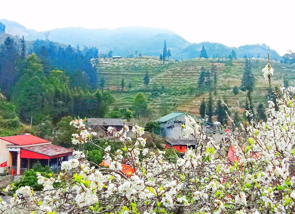 “Định vị” cao nguyên trắng Bắc Hà trên bản đồ du lịch Tây Bắc