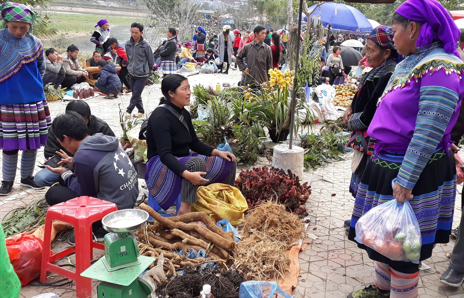 “Định vị” cao nguyên trắng Bắc Hà trên bản đồ du lịch Tây Bắc 1