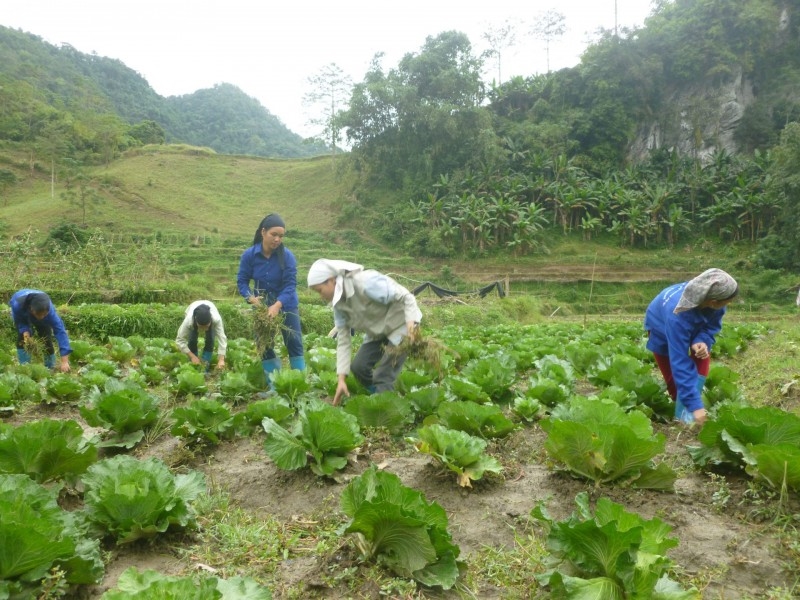 Đời sống kinh tế - xã hội tỉnh Bắc Kạn có bước phát triển nhờ sự đóng góp quan trọng của những Người có uy tín trong đồng bào DTTS (Ảnh minh họa).