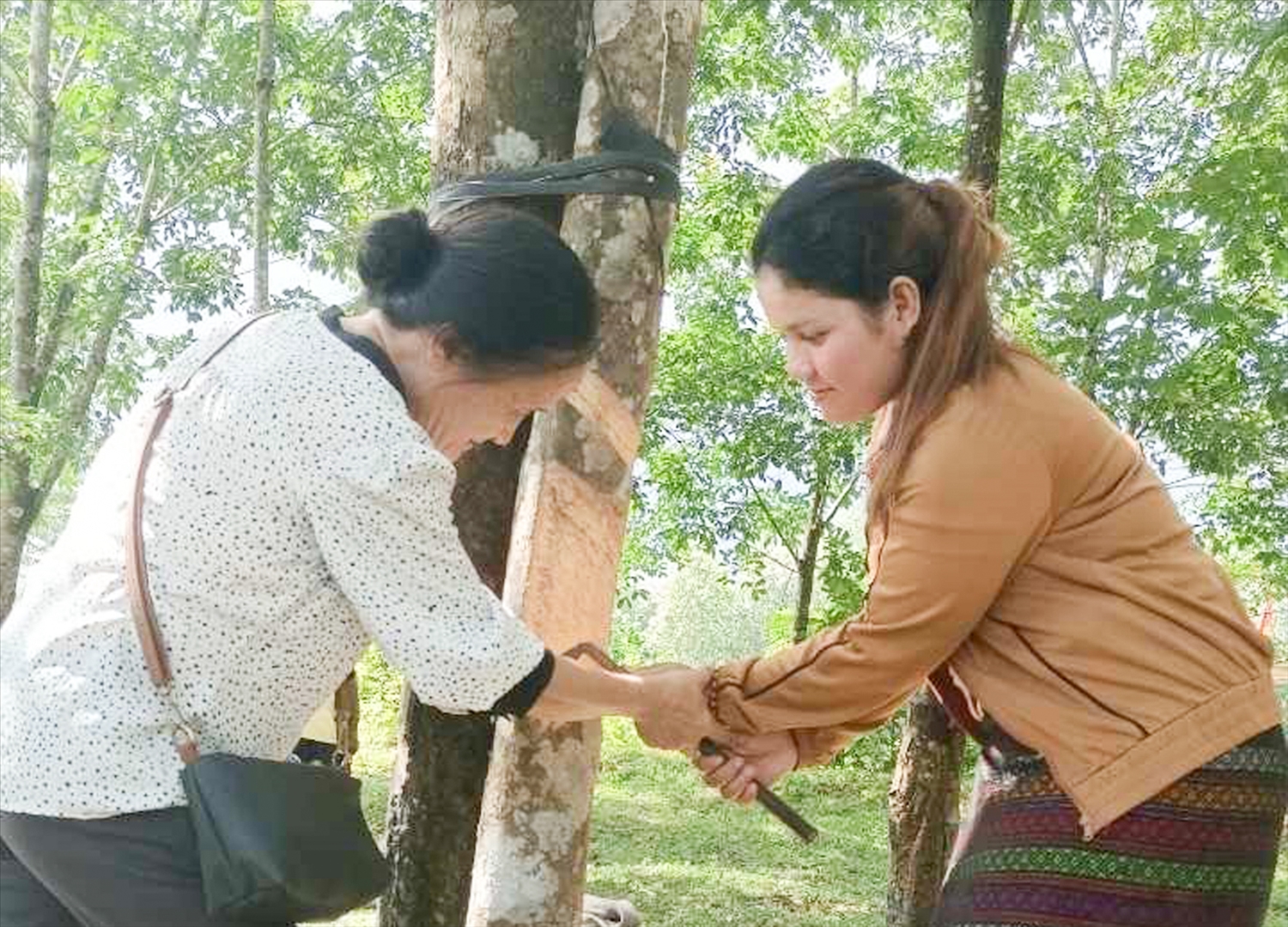 (Bài KH): Quảng Trị: Tìm hướng giải quyết việc làm cho lao động DTTS