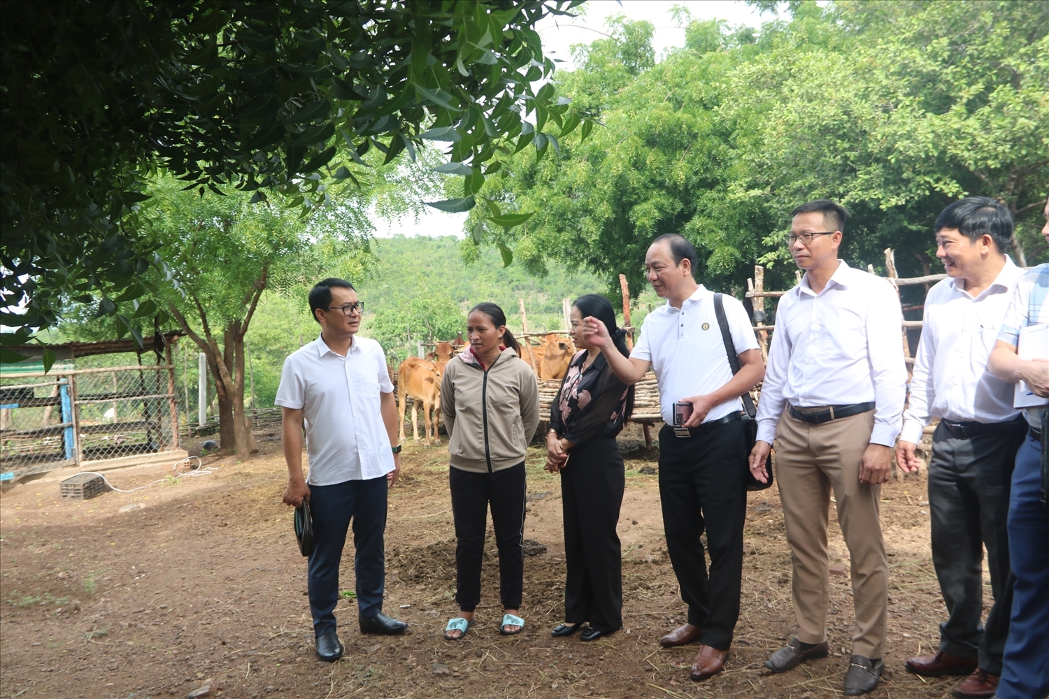 Đoàn công tác của Ủy ban Dân tộc kiểm tra mô hình hỗ trợ vật nuôi theo Chương trình MTQG 1719 ở huyện Bác Ái.