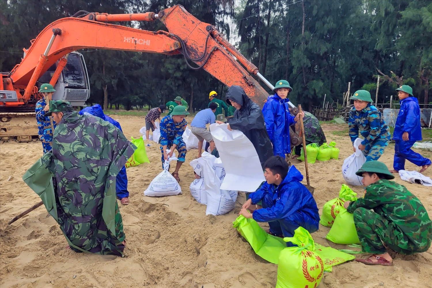 Lực lượng Bộ đội Biên phòng tham gia khắc phục sạt lở bờ biển