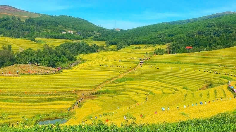 Lễ hội ruộng bậc thang Miền Đồi lần đầu tiên được huyện Lạc Sơn, tỉnh Hòa Bình tổ chức