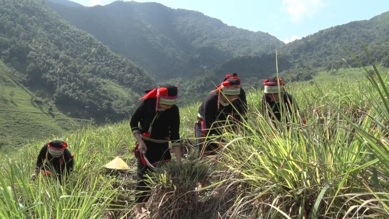 (BCĐ- Loạt 3 bài CĐ Ban ĐT Cao Bằng) Giải quyết nhu cầu đất ở, đất sản xuất cho đồng bào DTTS ở Cao Bằng: Nhiều khó khăn vì thiếu quỹ đất ( Bài 2) 1