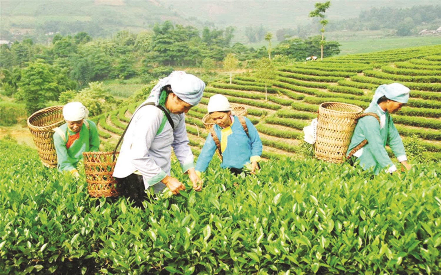 Nguồn lực từ các chương trình, dự án chính sách đã thúc đẩy các mô hình sản xuất phát triển, nâng cao đời sống đồng bào DTTS