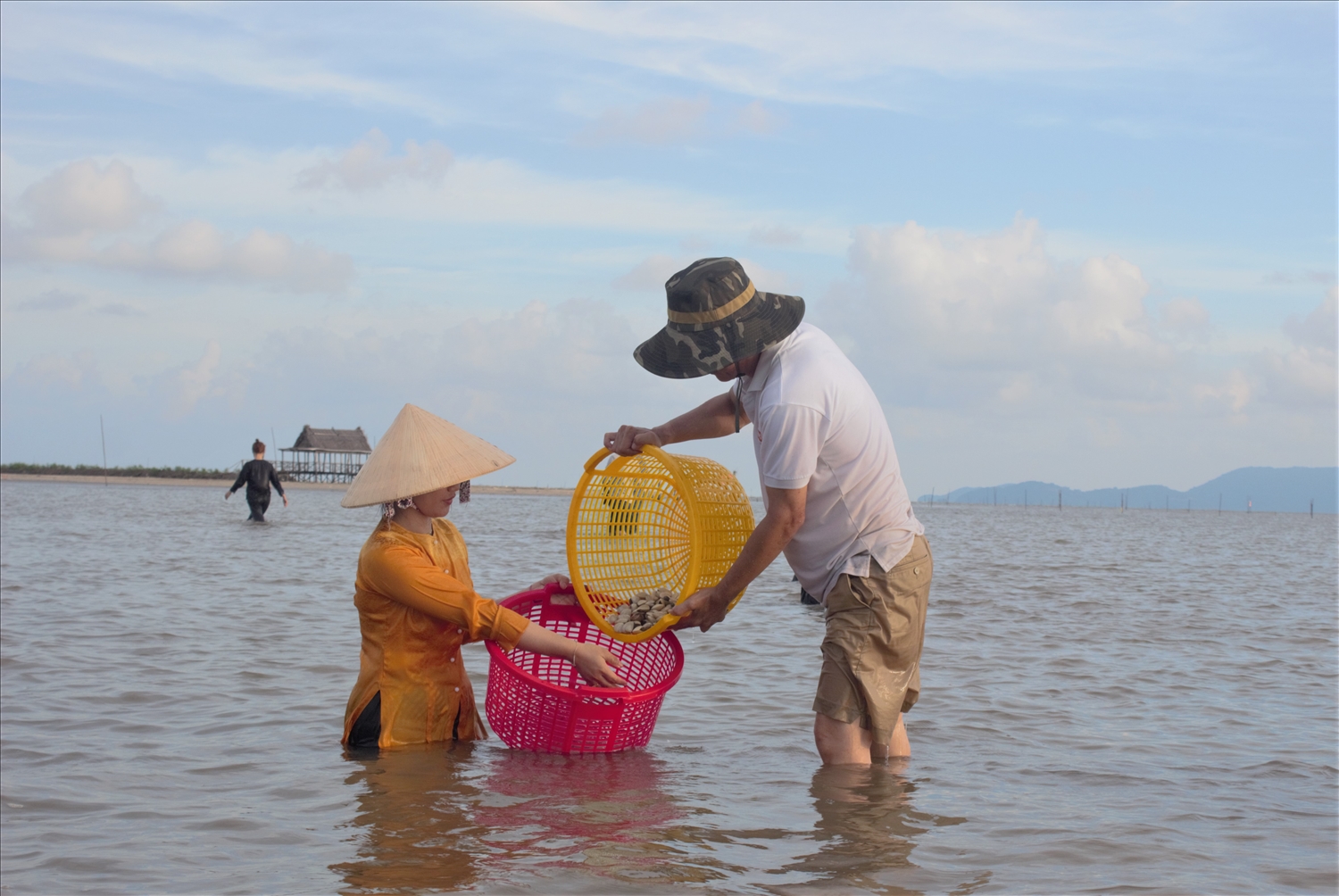 trải nghiệm khai thác nghêu thương phẩm của Hợp tác xã Nghêu Đất Mũi