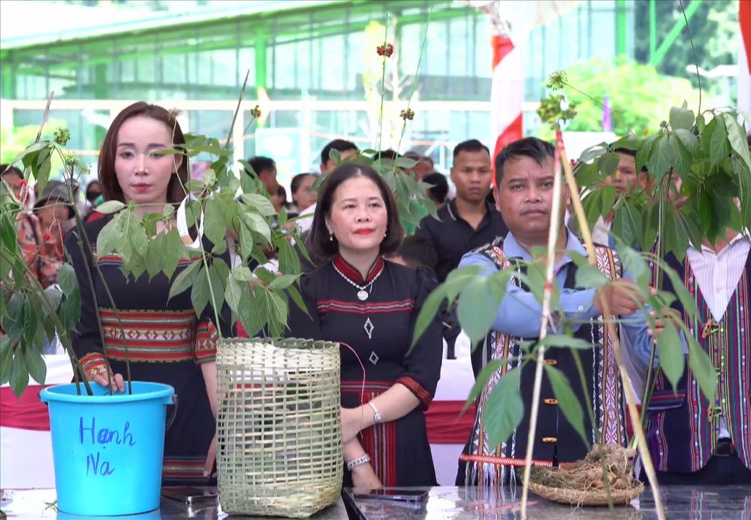 Các hộ đồng bào DTTS ở Nam Trà My mang sản phẩm đến Hội thi sâm tại phiên chợ sâm Ngọc Linh 